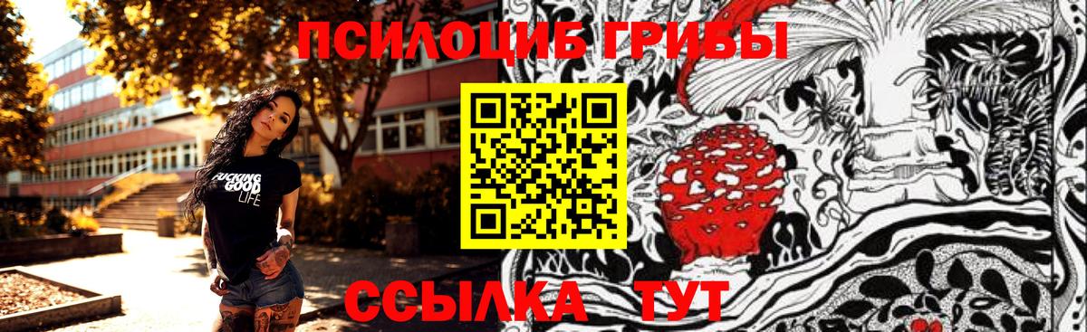 хочу наркоту  Псилоцибиновые грибы GOLDEN TEACHER  Вход с VPN  Крымск 