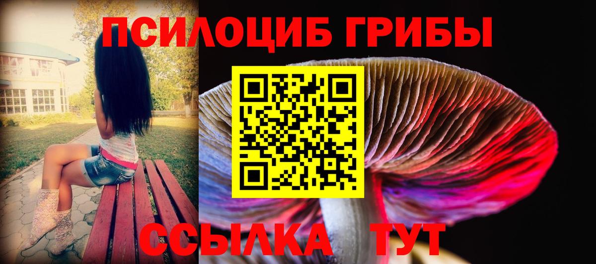 Псилоцибиновые грибы ЛСД Крымск